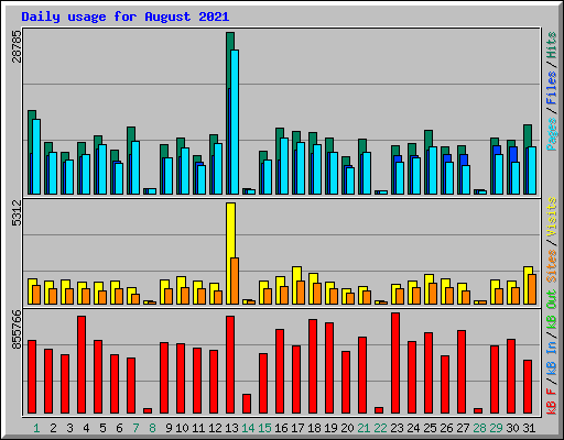 Daily usage for August 2021