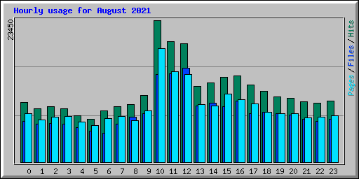 Hourly usage for August 2021