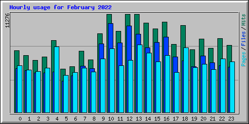 Hourly usage for February 2022
