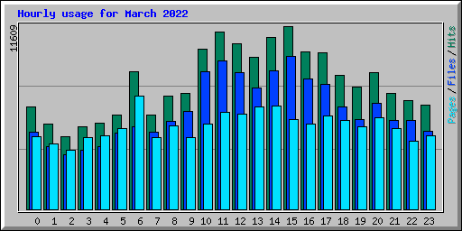 Hourly usage for March 2022
